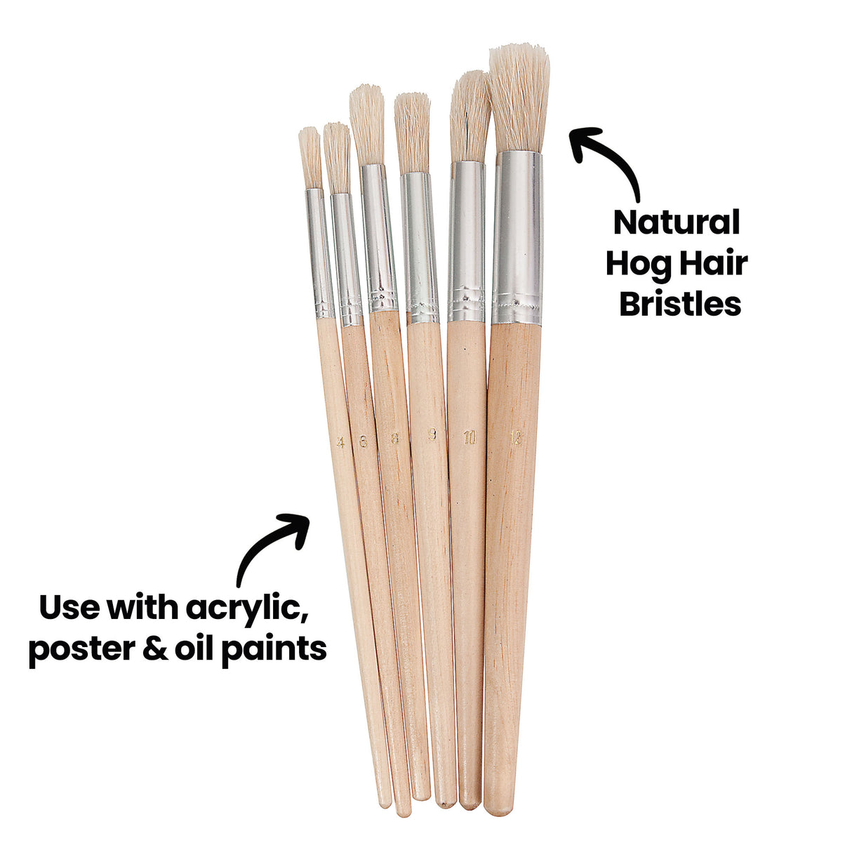 Six round paint brushes shown upright with on-image text reading “Natural Hog Hair Bristles” pointing to the bristles, and “Use with acrylic, poster & oil paints” pointing to the handles. Sizes printed on handles include 4, 6, 8, 9, 10 and 12.