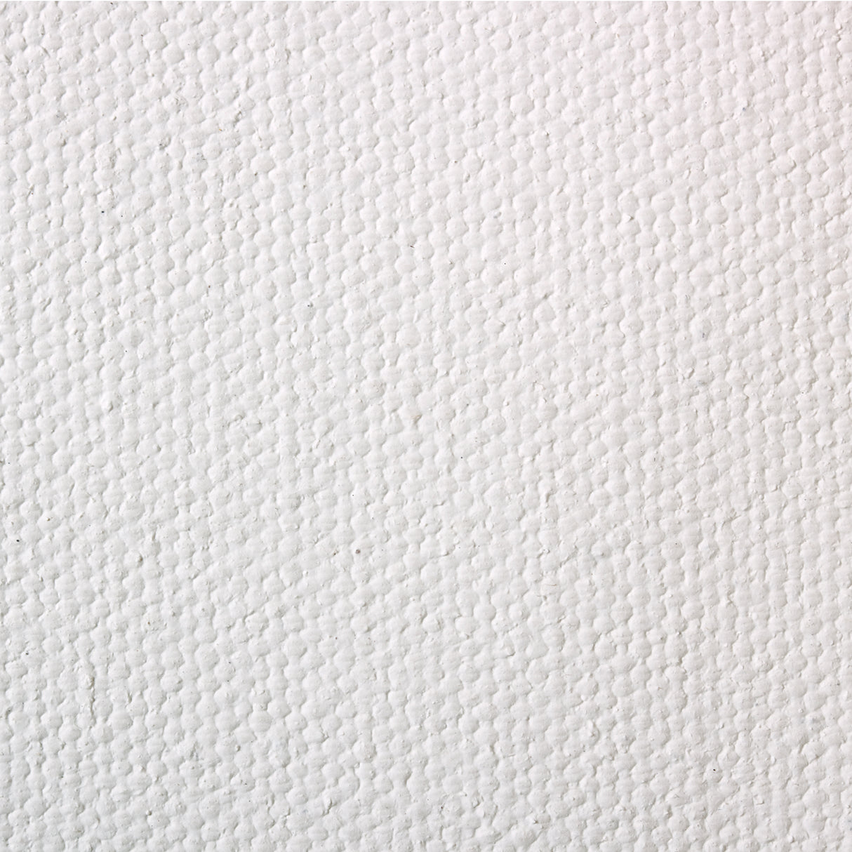 Close-up of Art Spectrum Canvas Primed 10oz surface showing an even white coating with a fine, pebbled texture. Subtle irregular bumps and woven impressions are visible across the surface, creating a matte appearance with soft shadows and a consistent, tactile finish.