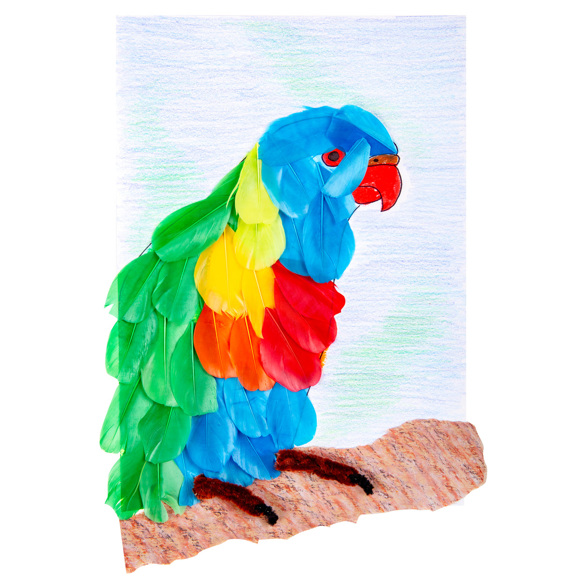 Trimmed Feathers Assorted 20g