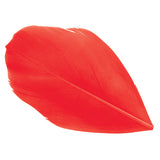 Trimmed Feathers  Aboriginal Flag Colours 20g