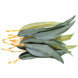 Gum Leaves Pack of 50 - Zart