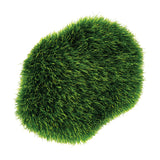 Grassy Stones Pack of 8