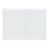 Writer Premium Exercise Book Ruled with Red Margin A4 48 pages - Zart