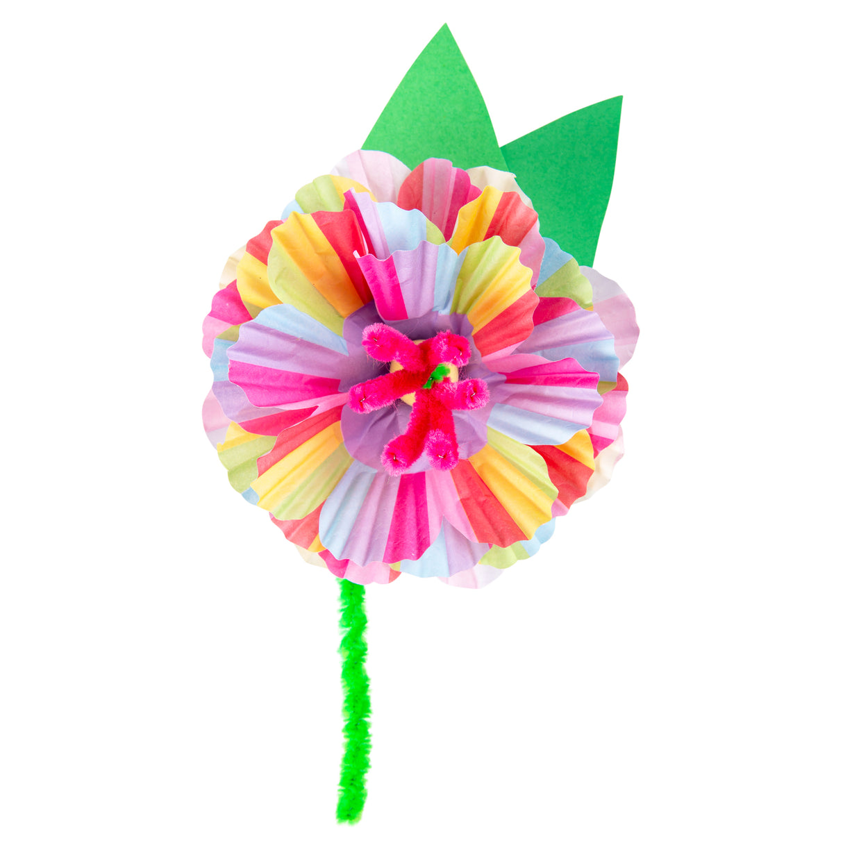 Zart Rainbow Patty Pans Pack of 250 - Zart