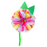 Zart Rainbow Patty Pans Pack of 250 - Zart