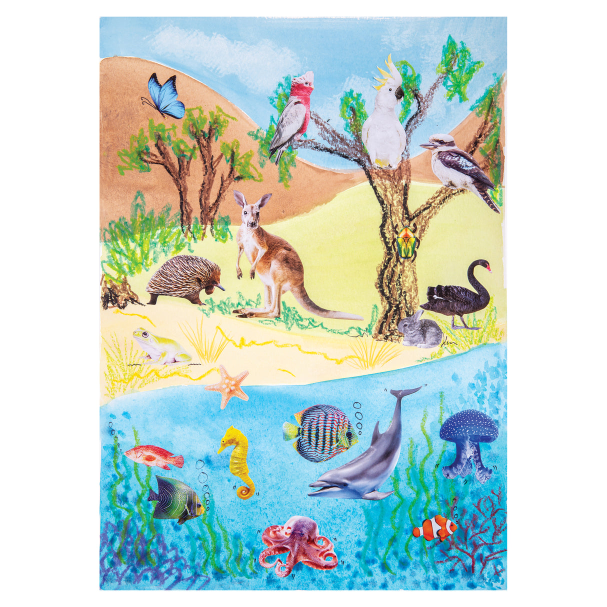 Collage Collections Creatures Pack of 40 - Zart