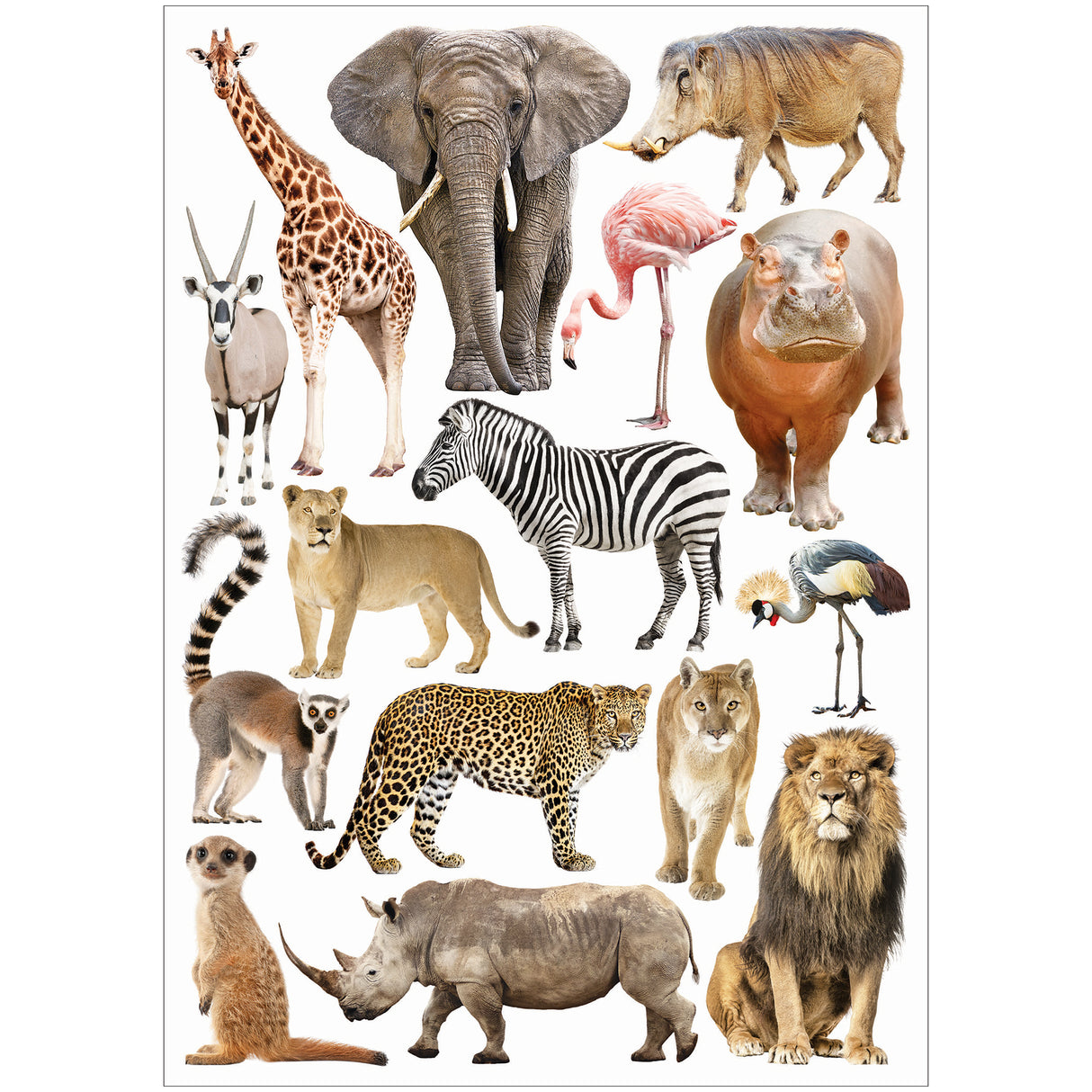 Collage Collections Creatures Pack of 40 - Zart