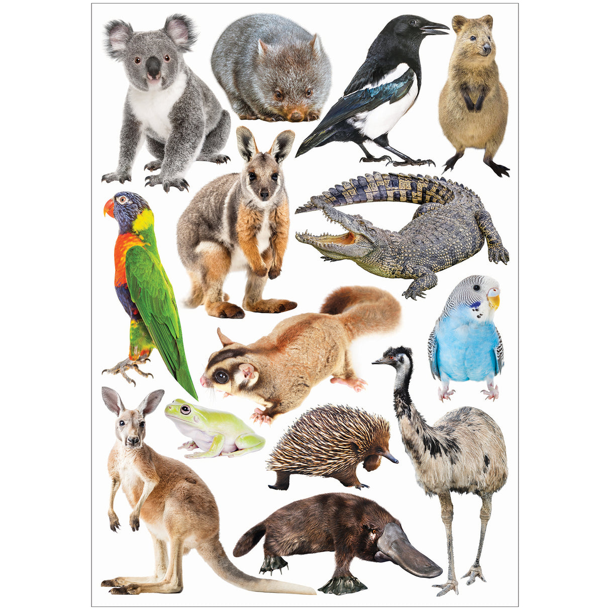 Collage Collections Creatures Pack of 40 - Zart