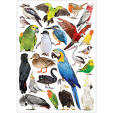 Collage Collections Creatures Pack of 40 - Zart