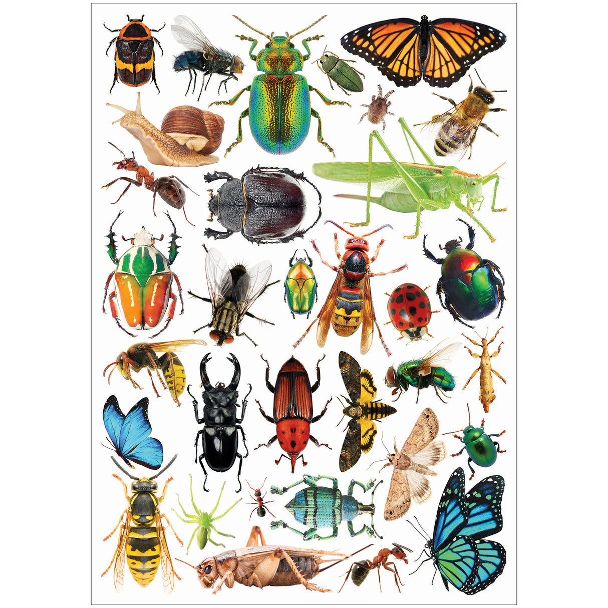 Collage Collections Creatures Pack of 40 - Zart