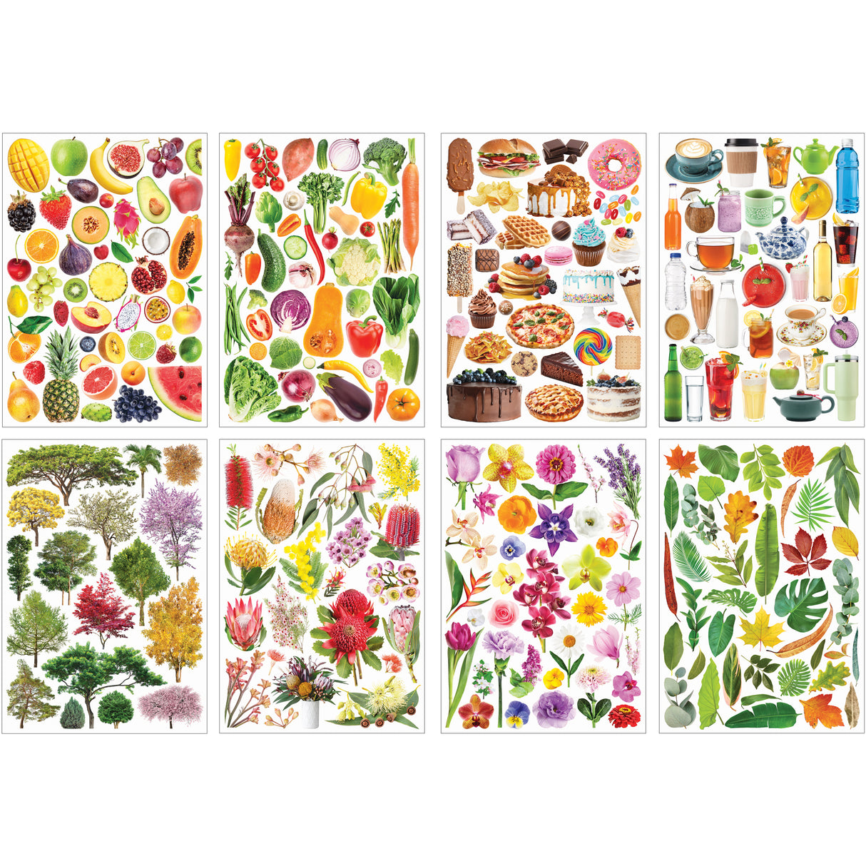 Collage Collections Thrive Pack of 40 - Zart