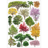 Collage Collections Thrive Pack of 40 - Zart