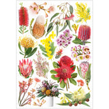 Collage Collections Thrive Pack of 40 - Zart