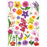 Collage Collections Thrive Pack of 40 - Zart