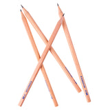 Four sharpened Staedtler 2B pencils crossed in an X formation, their natural wood barrels tapering to fine, neatly sharpened graphite points, with blue "2B 0" text along each pencil. The hexagonal shafts show a smooth, warm-toned timber finish throughout.