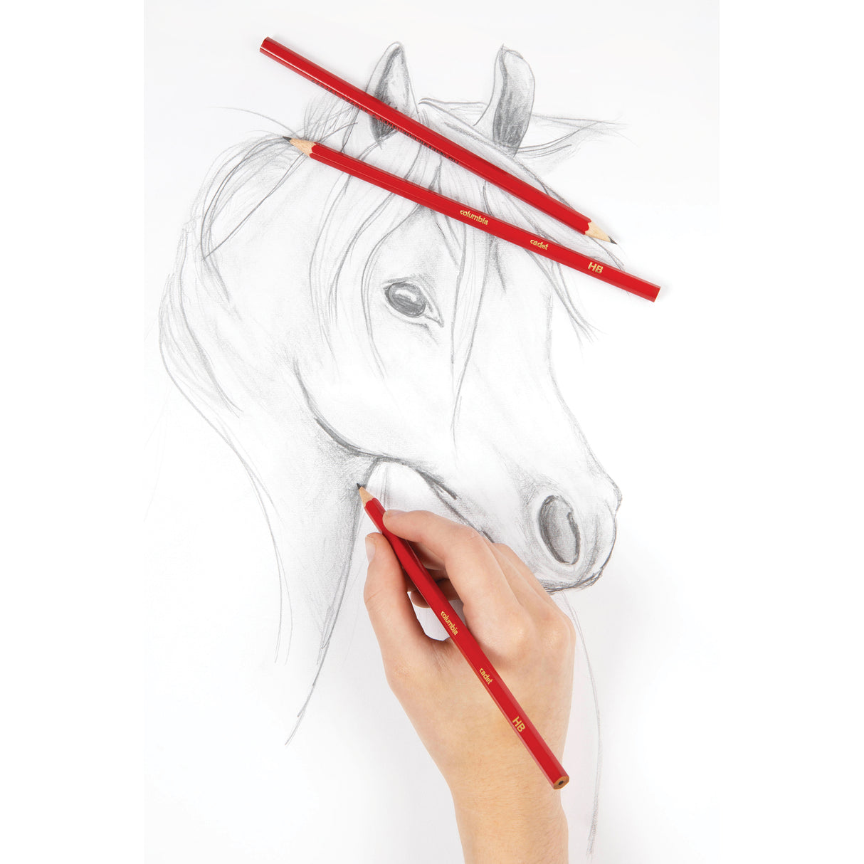 Columbia Cadet Hexagonal Graphite Pencils HB 60s