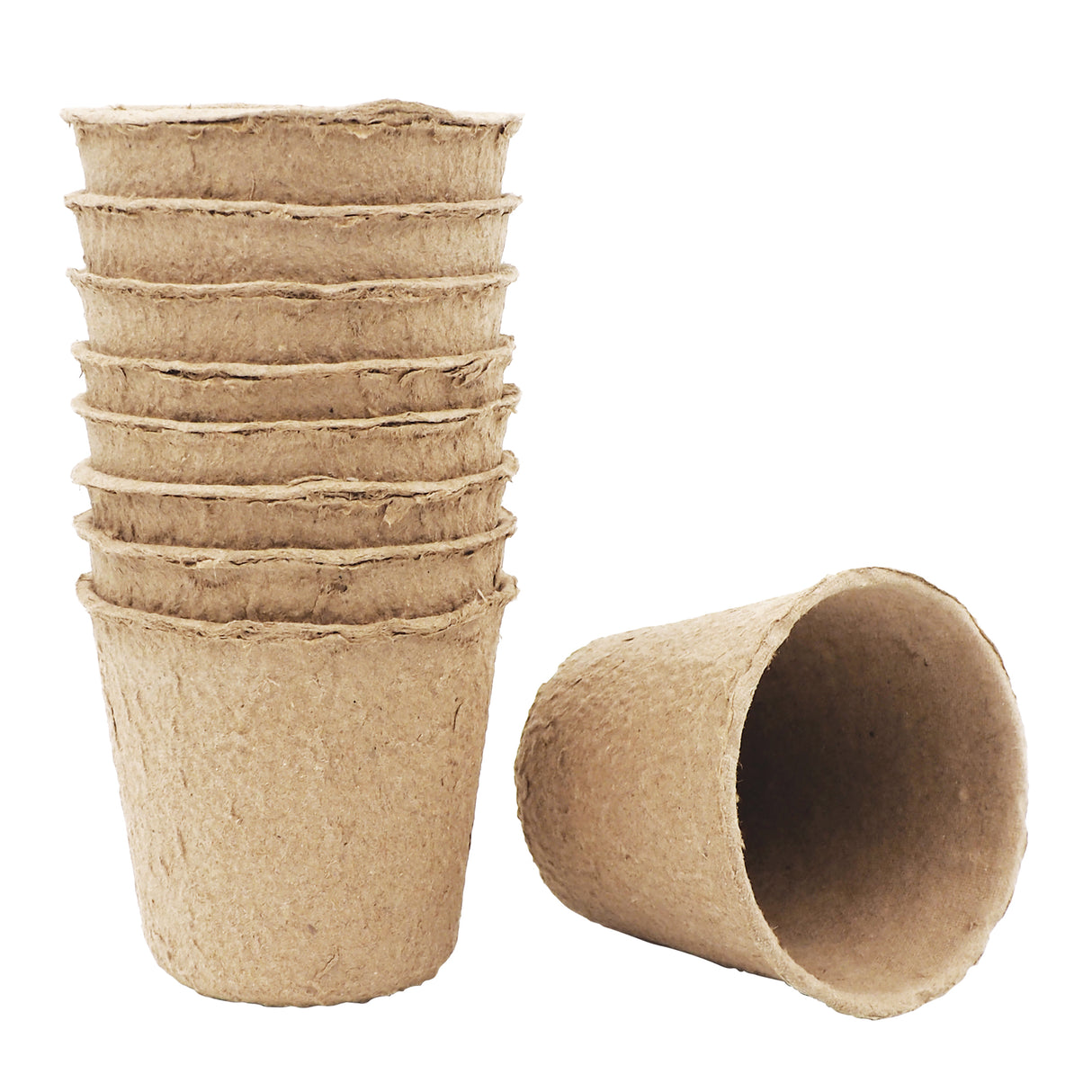 Natural Plant Pot 6 x 6cm Pack of 30