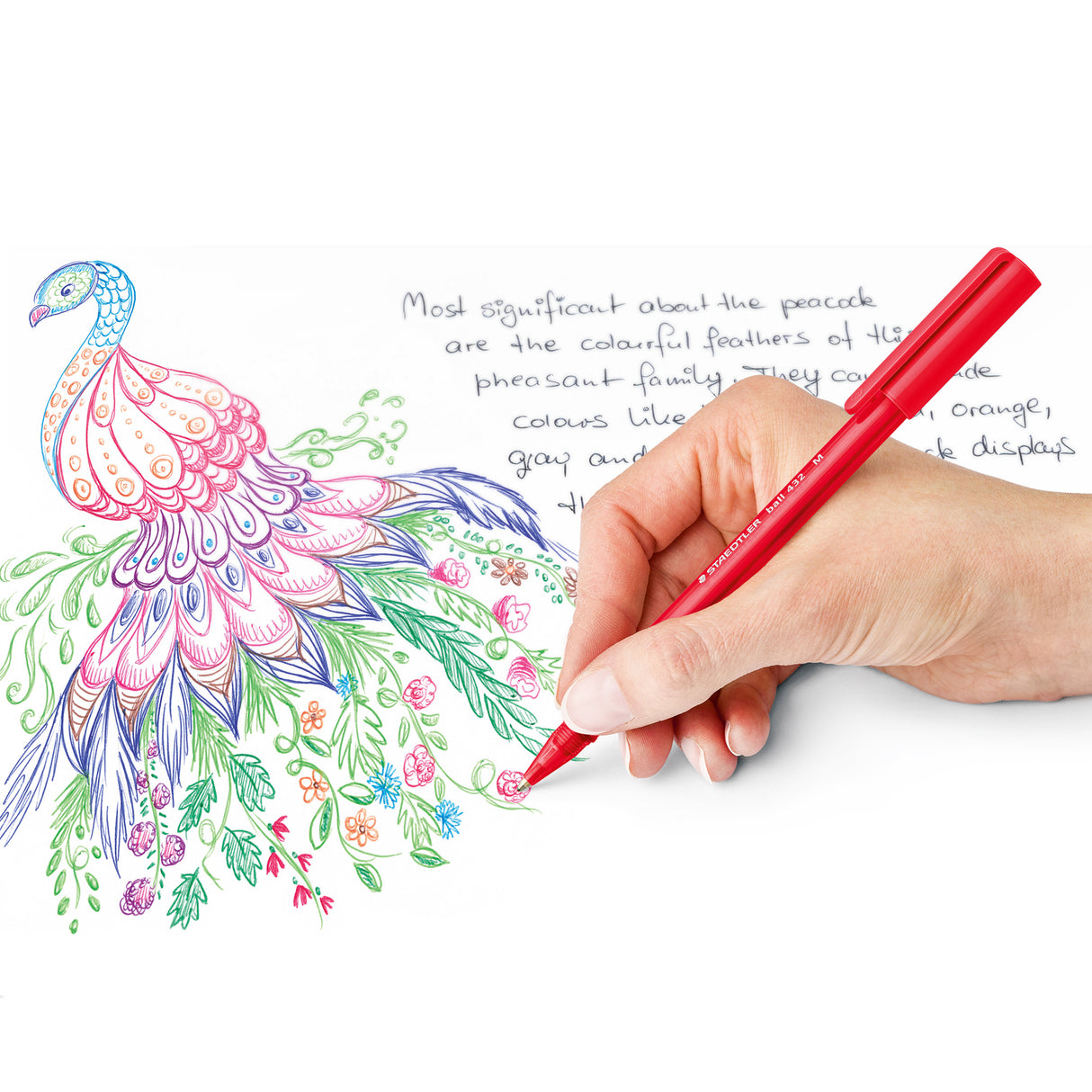 Staedtler Stick 432 Triangular Ballpoint Pen 1.0mm Medium Pack of 10 - Zart