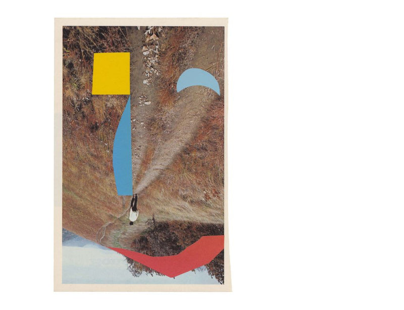 Summer School Brisbane Drawing - Zart