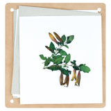 Zart Discovery Flower Press Kit 168 x 160mm