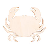 Wooden Australian Shapes Pack of 24 - Zart