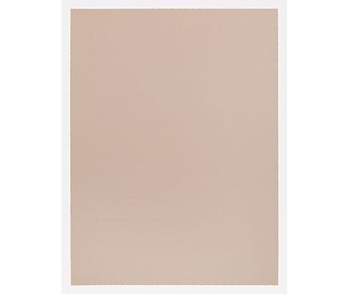 Art Spectrum Colourfix Paper Warm Colours Medium Pack of 10