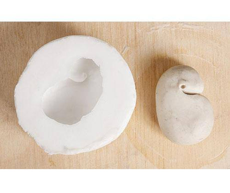 White silicone mould and cast bean-shaped object displayed on wooden surface. The flexible mould shows a hollow cavity with smooth interior walls, while the finished cast piece demonstrates the precise reproduction achieved with Silicone Moulding Rubber, capturing fine detail and organic form in pale, natural tones.