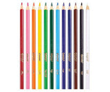 Crayola Triangular Pencils Classpack Pack of 240