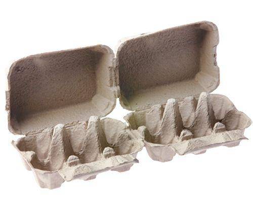 Egg Cartons 6 Wells Pack of 24