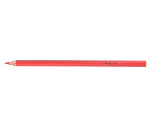 Jasart Tropical Pencils Pack of 12