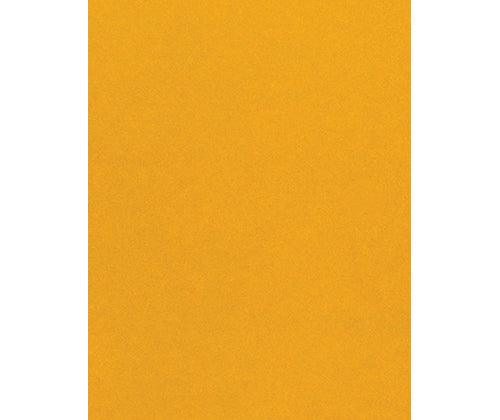 Skin / Earth Tone Craft Paper Pack of 48