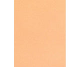 Skin / Earth Tone Craft Paper Pack of 48