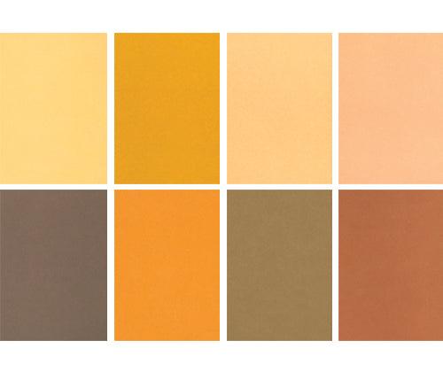 Skin / Earth Tone Craft Paper Pack of 48