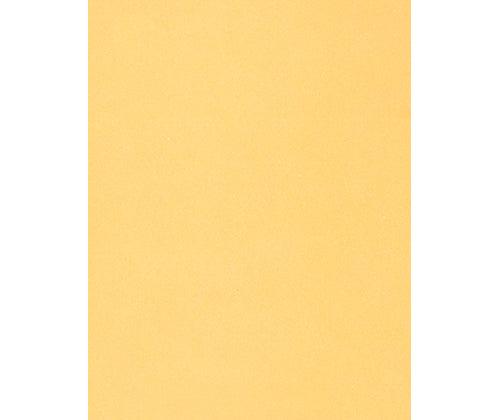 Skin / Earth Tone Craft Paper Pack of 48