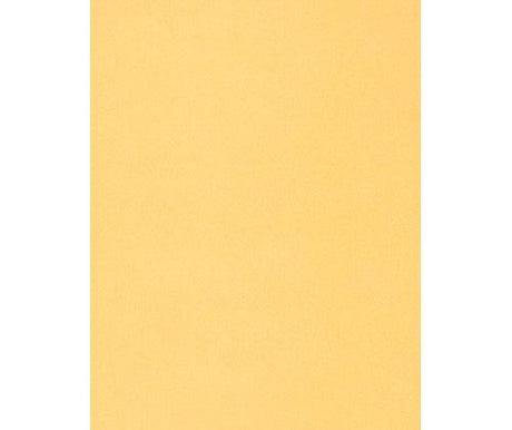 Skin / Earth Tone Craft Paper Pack of 48