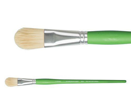 Roymac Future Filbert Brushes Pack of 12