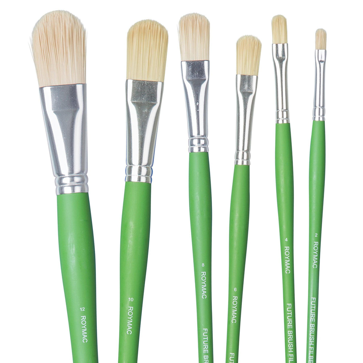 Roymac Future Filbert Brushes Pack of 12