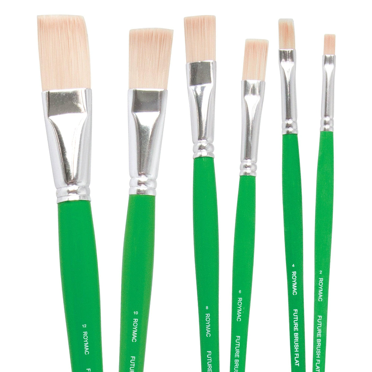 Roymac Future Flat Brushes Pack of 12