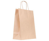 Paper Bag with Handle Pack of 10