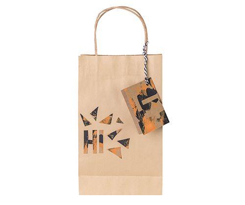 Paper Bag with Handle Pack of 10