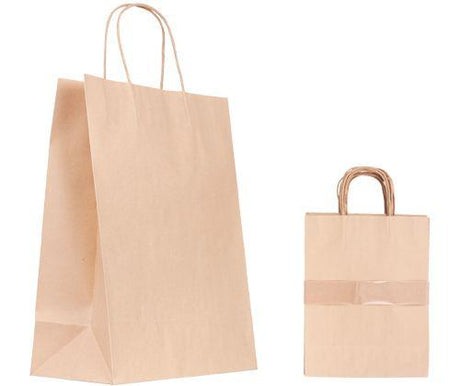 Paper Bag with Handle Pack of 10