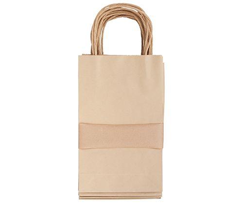 Paper Bag with Handle Pack of 10