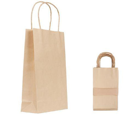 Paper Bag with Handle Pack of 10