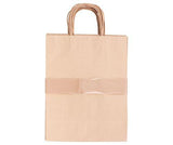 Paper Bag with Handle Pack of 10