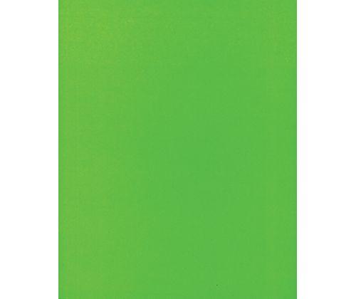 Coloured Posterboard (Pasteboard) 500gsm