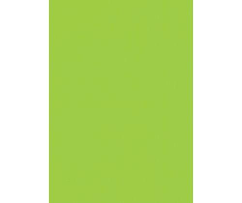 Coloured Fluorescent Card A4 300gsm Pack of 25