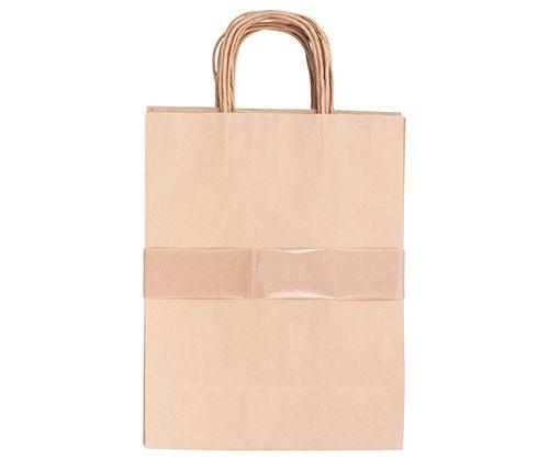 Paper Bag with Handle Pack of 10