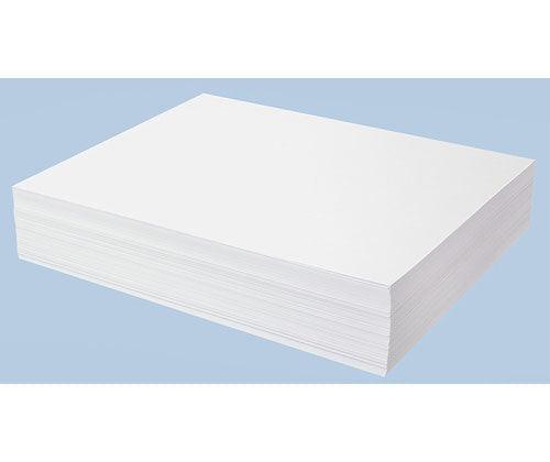 Easel Paper 440 x 630mm 80gsm 500 Sheets