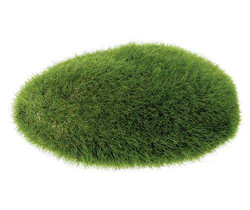 Grassy Stones Pack of 5