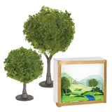 Model Trees